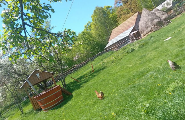 Room in Guest Room - Idylic Family Sejour With Hottube in Green Land - Foto 17
