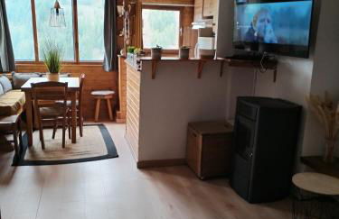 Appartement 8 couchages 45 m2 tout confort à la foux d'allos - Foto 16