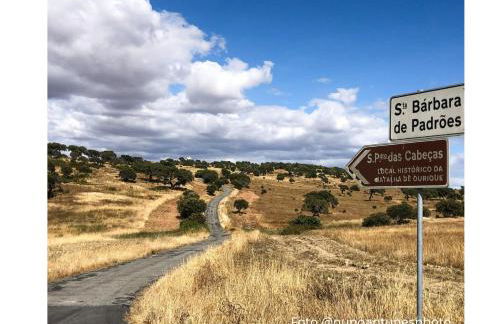 4Bs - Birds & Bicycles - Foto 28