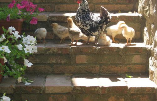 Sport Bikes and Nature - Foto 18