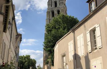 Le Pigeonnier centre historique Auxerre - Foto 49
