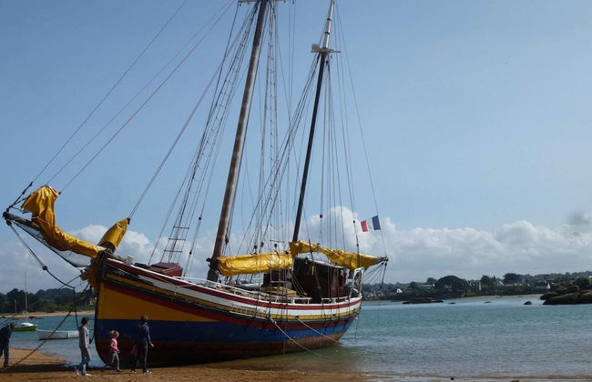 House in Saint-quay Near 7 Beaches - Photo 34