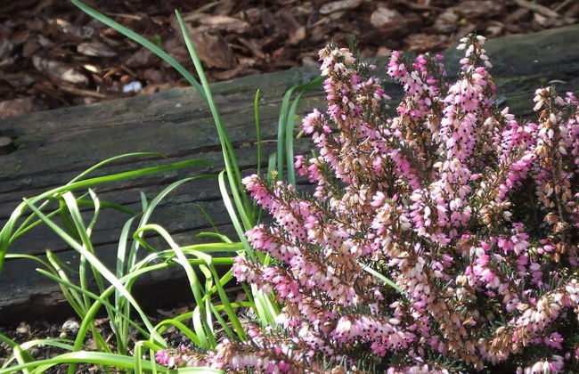 Queens Road Rental - Winchester Accommodation - Foto 24