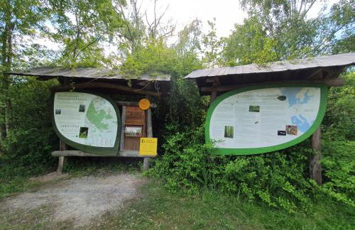 Ferienhäuser Oberdorla - Foto 71