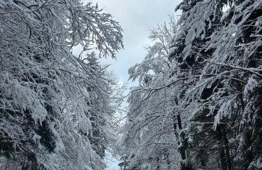 Kuća za odmor Petra - Foto 3