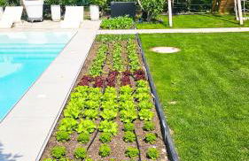 Luxurious large home with Pool, Garden, Koi Pond only 12 min to Octoberfest - Foto 50