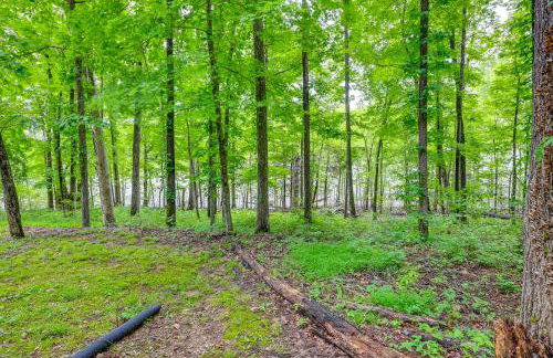 Waterfront Nolin Lake Gem Guest House and Balcony - Foto 40