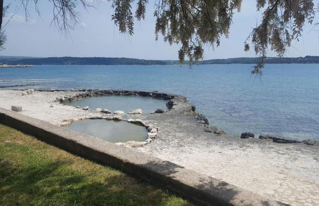 Holiday House in Novigrad With Pool - Foto 31