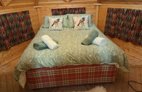 Antler Lodge - Foto 6