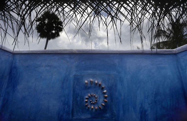 The Villa Kalpitiya - Foto 8