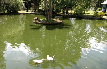 Chalé Vale do Bosque - Foto 6