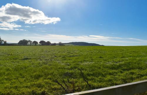 Shepherds Hut - Uk50043 - Foto 12