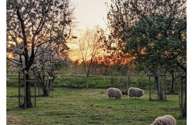 Ferienwohnung - De Deelstuuv - Foto 2