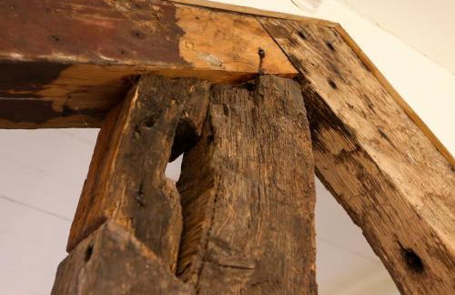 Ridge Hall - Photo 60