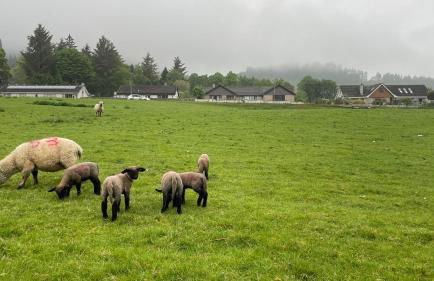 Loch Ness Hideaway Pod - Foto 31