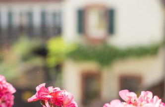 Weinstraße No 8 "Einfach-Gut-Übernachten" - Foto 41