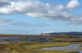 The Old Laundry - Foto 68