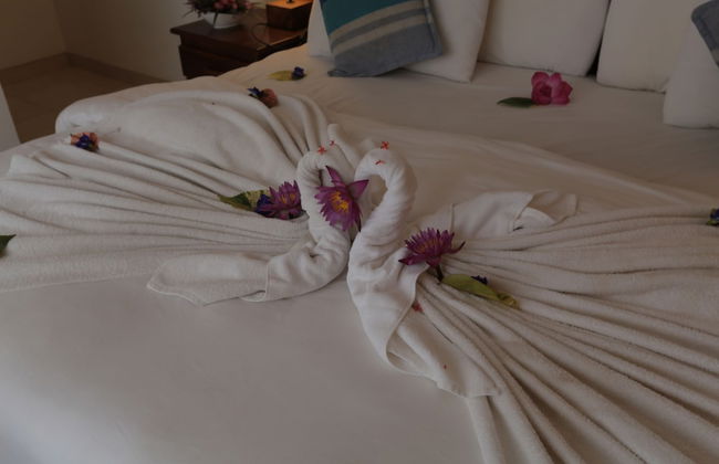 Sandul Villa - Photo 7