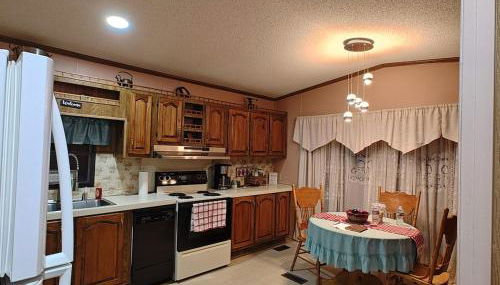 Unique Yet Cozy Victorian Home in Tioga County PA - Foto 2, stove