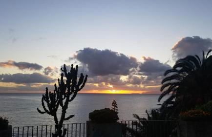 VIP Paradise Apartment - Foto 50