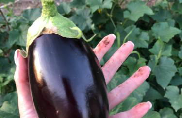 B&B Zia Nì - Foto 7