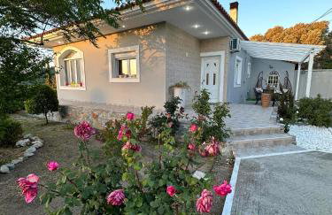 Altera Vita - Foto 61