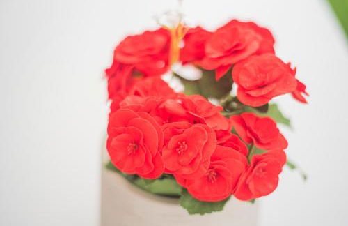 The Terraces Luxury Penthouses, 1D - Foto 61