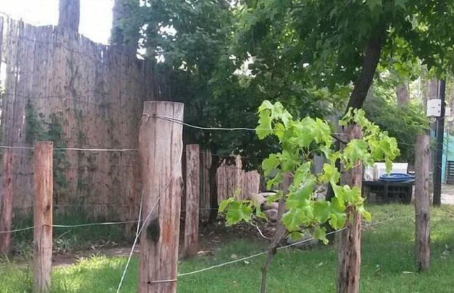 Dark Green House - Chacras de Coria - Photo 44