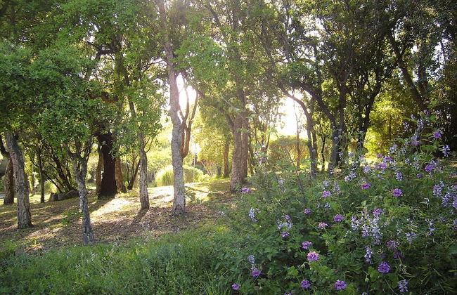 Apartment in Pinarellu Near Beach & Pool - Foto 27