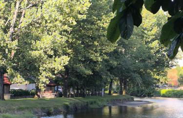 Aromas do Vouga - Foto 17