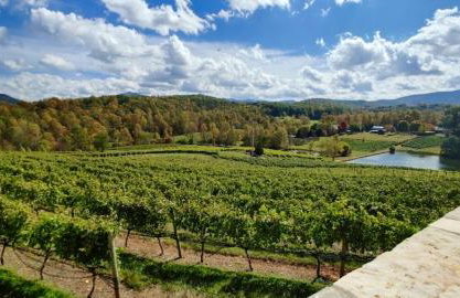 Mountain home, next to a Winery with a fire pit - Foto 30
