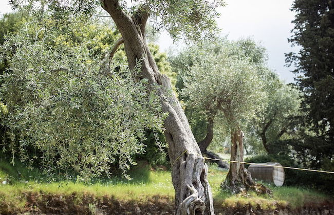 Villa Costa - Foto 28