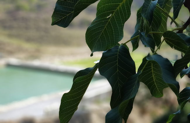 Casa rural El Salero en Moratalla - Foto 71