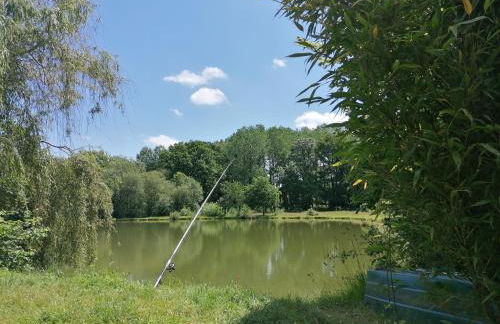 La Semondière - Photo 18