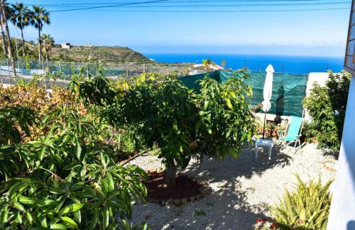 Charming house in Icod de los Vinos with garden 70 m² - Foto 1