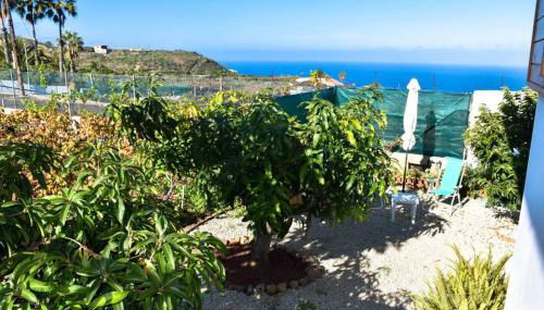 Charming house in Icod de los Vinos with garden 70 m² - Foto 1