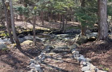 Twin Pines Lake Resort 1 - Foto 23