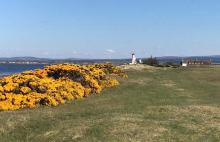 Stagstone apartment in Fortrose - Foto 13