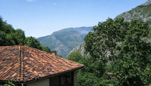 casa yanu Casa rural histórica en Parque Natural de Ponga - Foto 1