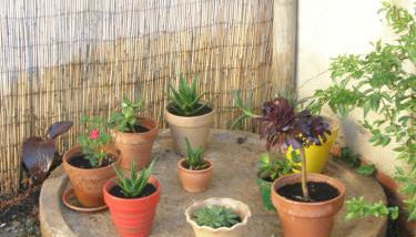 Casa Rural Cariño - Foto 5, Garden