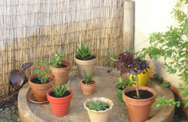 Casa Rural Cariño - Foto 5