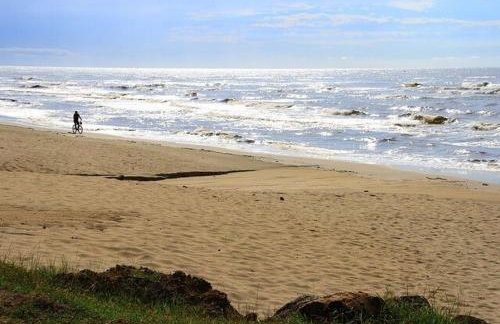 venhacurtiravidaeserfeliz - Photo 2