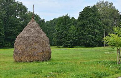 Schrebenza - Photo 20