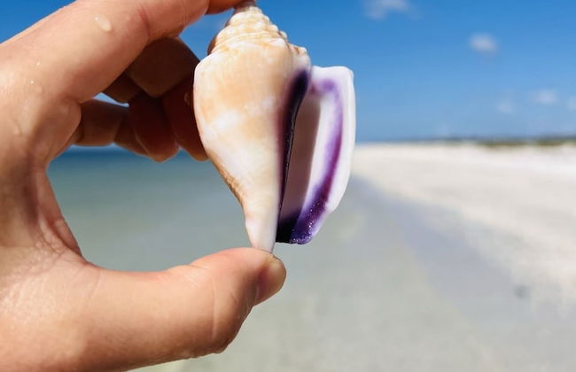 Lighthouse 1124 3 Bedroom Home by RedAwning - Foto 36