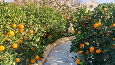 Casa Aranci - Foto 4, Garden, Garden view