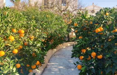 Casa Aranci - Foto 4