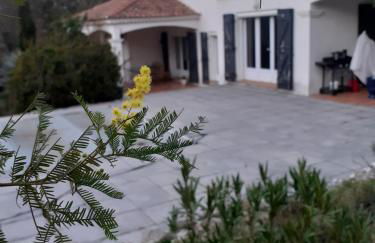 la lavande bleue - Foto 15