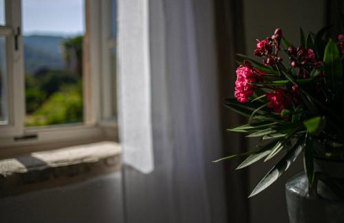 Revelin Hvar - Photo 43