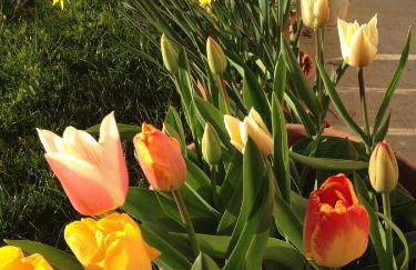 Paglia&Fieno - Photo 70