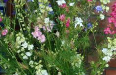 Elms Farm - Photo 25